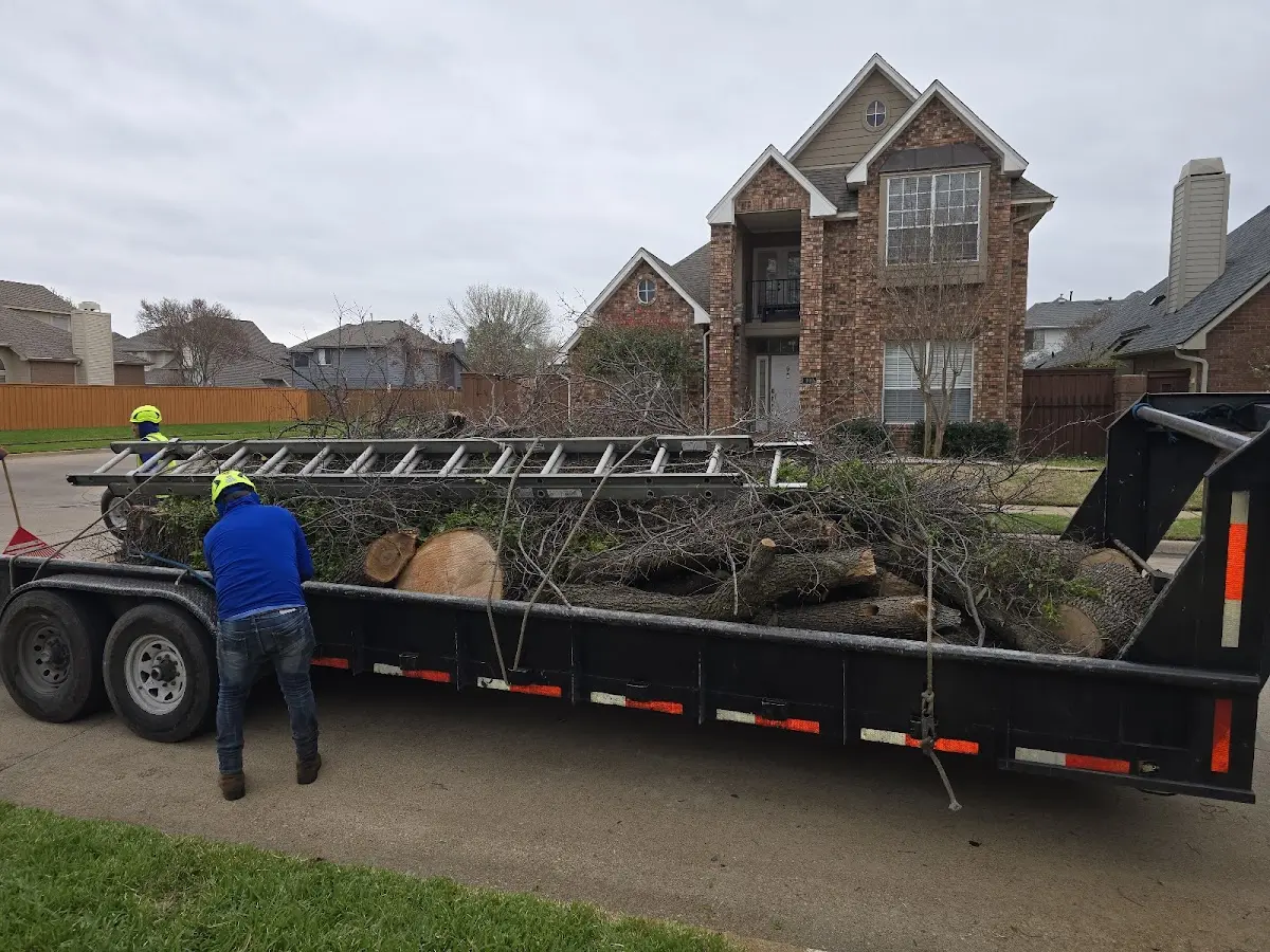 Expert Tree Pest Control with proper safety equipment in Tallassee